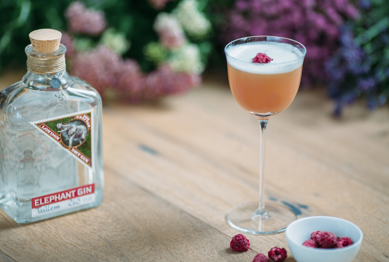 Elephant Gin Positive Luxury