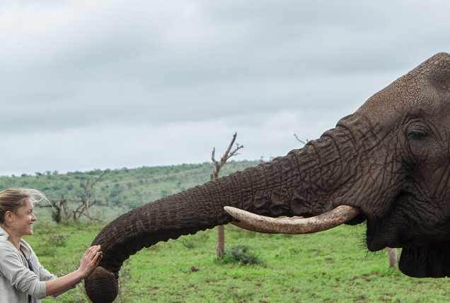Elephant Gin