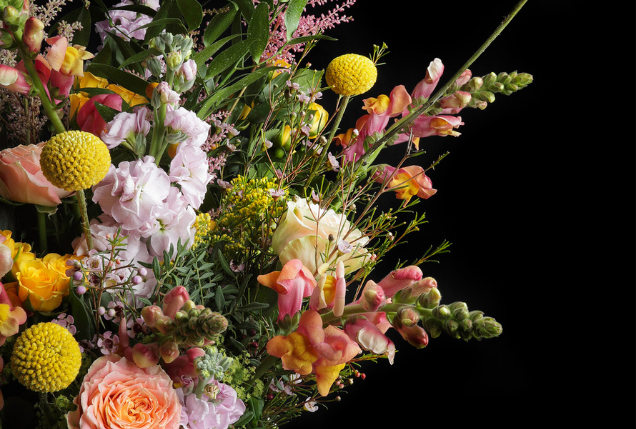 Arena Flowers Positive Luxury