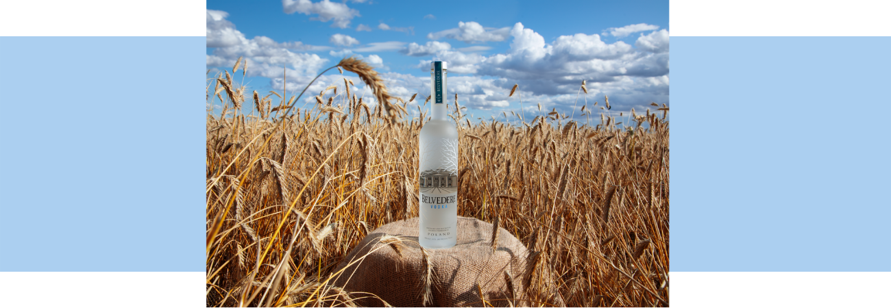 Belvedere Vodka Positive Luxury