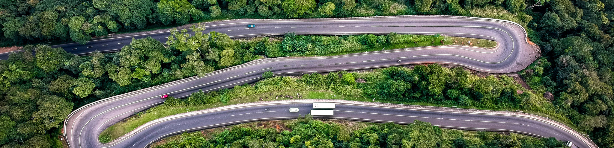 Roadmap