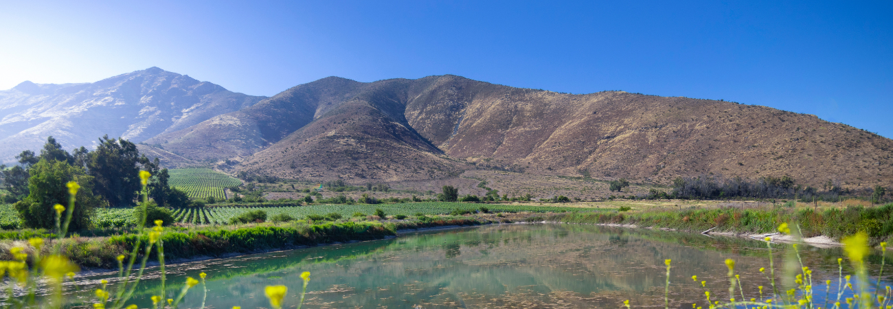 Santa Rita Estates