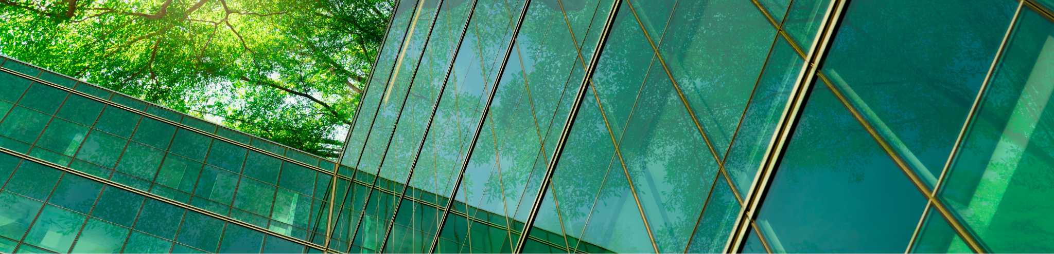 Double Materiality Assessment