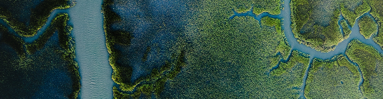 Biodiversity Report Positive Luxury
