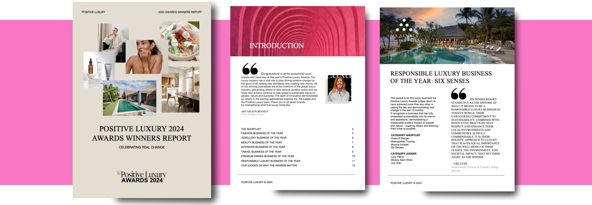 Positive Luxury 2024 Winners Report