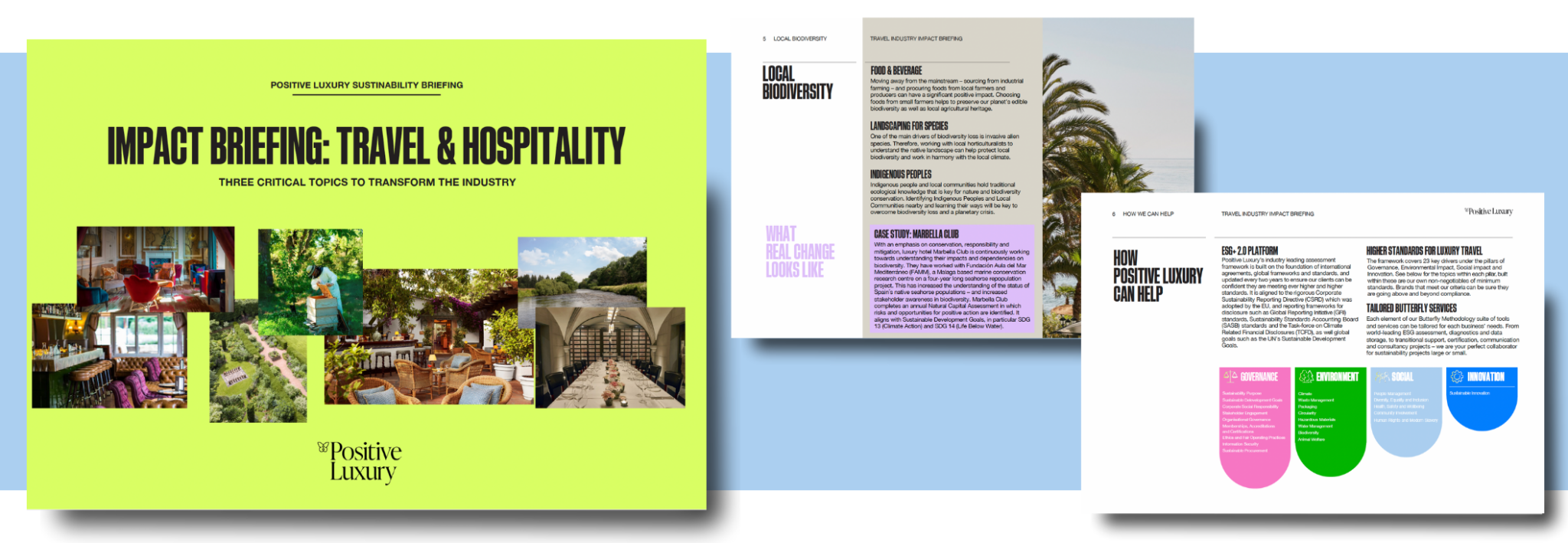 Positive Luxury Travel briefing